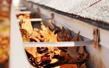 Woodhouselee gutter cleaning companies