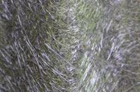 Woodhouselee fibreglass roof work